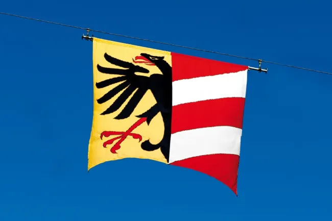 Fahne Altdorfer Wappen