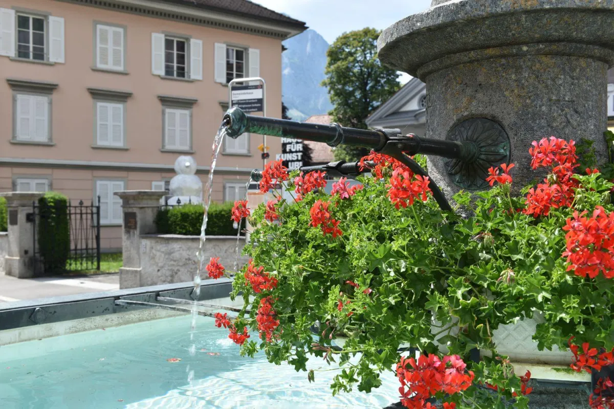 Geranien St Josef Brunnen Gemeindehausplatz