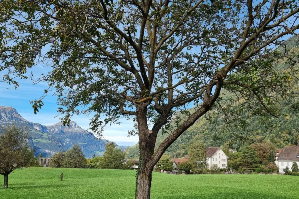 Stoffelmatte 3