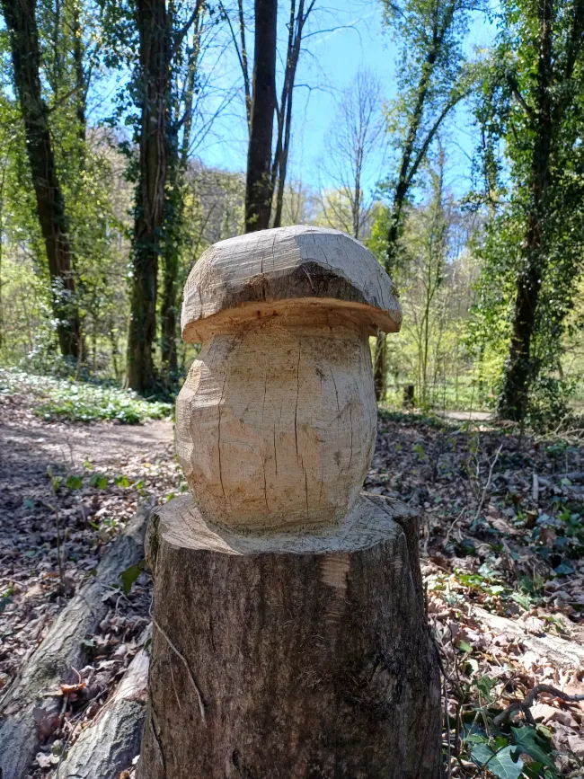 Märchenmatinée - Wald und Pilzgeschichten