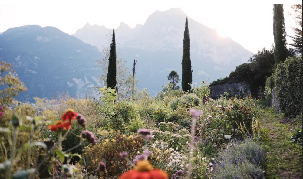 Gartenwelt Aromapflanzen - Kräuterduft und Sirupzauber im kulturkloster altdorf
