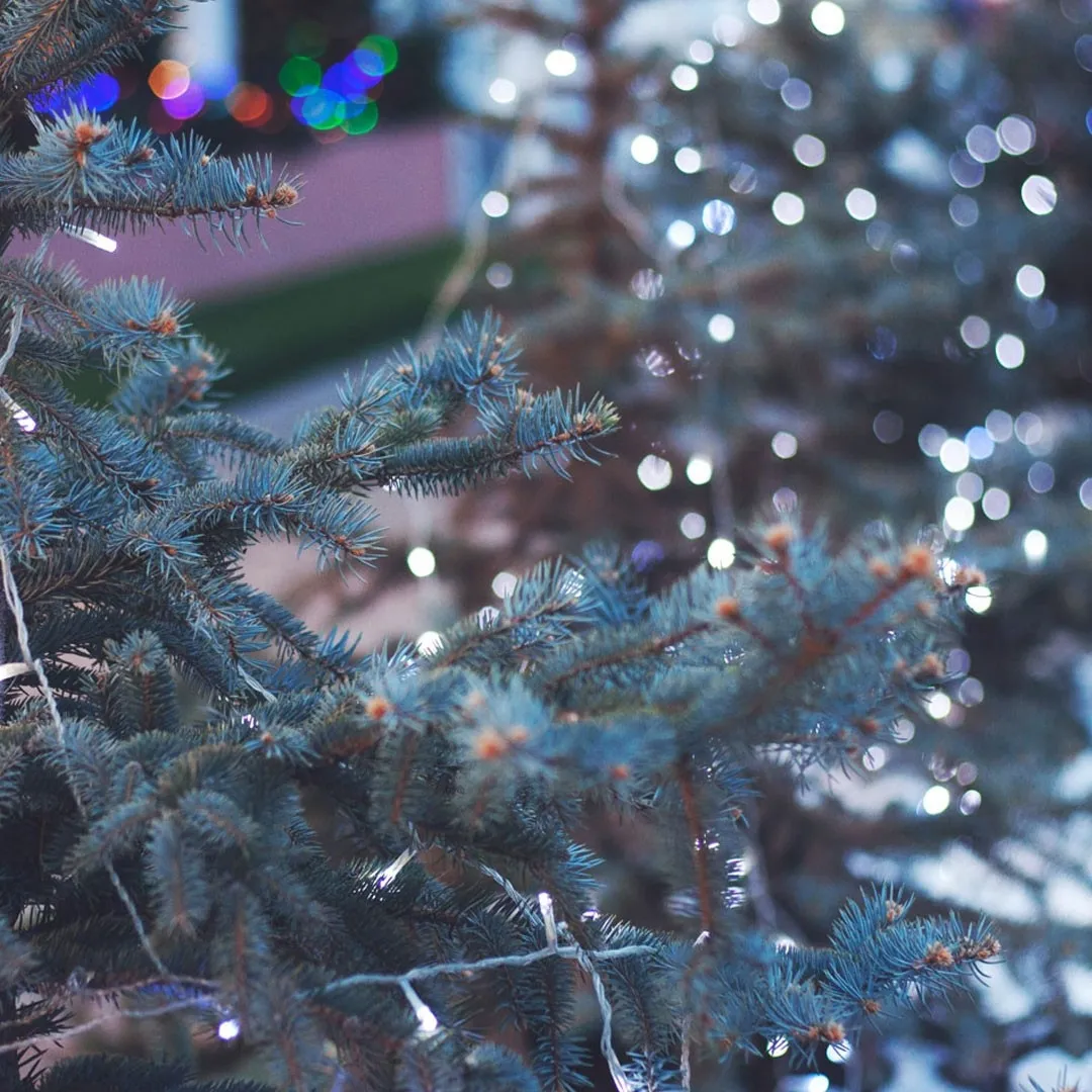 Altdorfer Christkindlimarkt